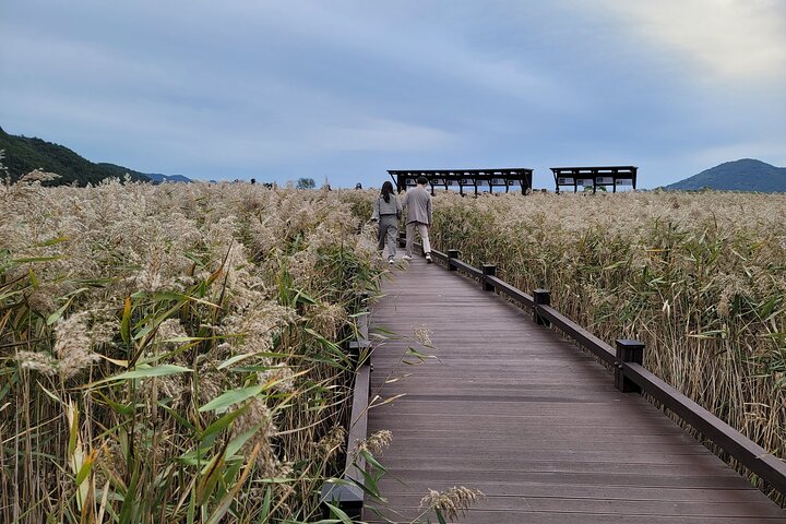 Suncheon one day tour from Seoul, Busan or Suncheon