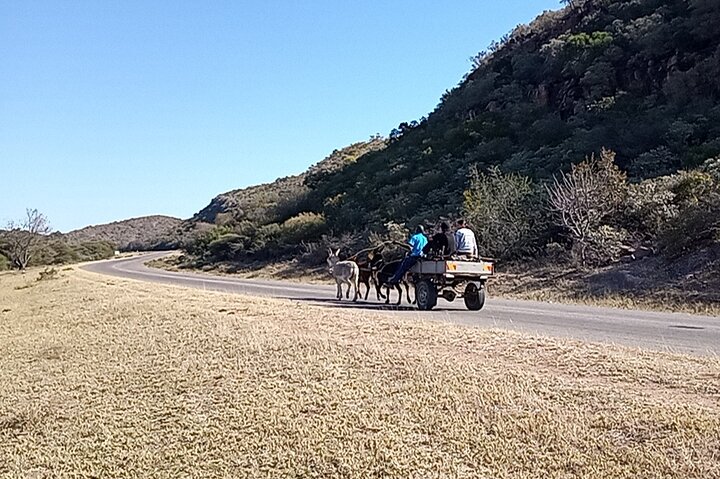 Experience a village from Gaborone (Molepolole Village Visit)