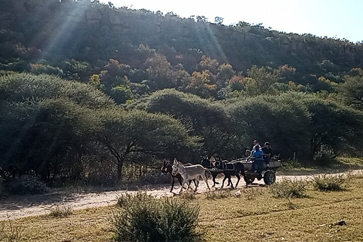 Experience a village from Gaborone (Molepolole Village Visit)