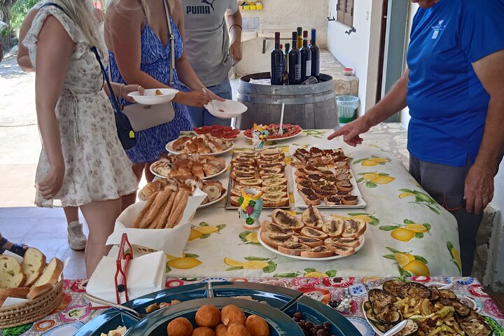 Vineyard Tour, Wine and Sicilian delicacies tasting at a Winery in Agrigento