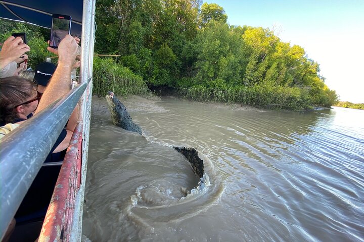 The Croc Bus to the Famous Jumping Crocodile Cruise