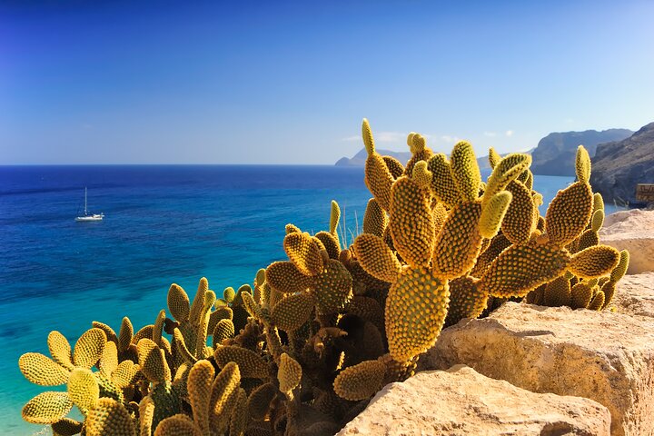 Secrets of Ibiza - Car tour in 8 hours