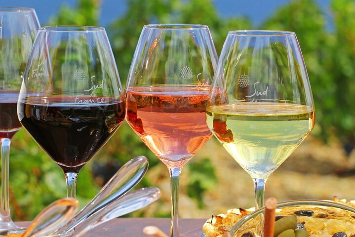 Provence Organic Wine Tasting Half Day Tour from Nice