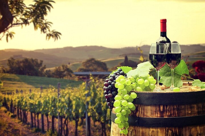 Provence Organic Wine Tasting Half Day Tour from Nice