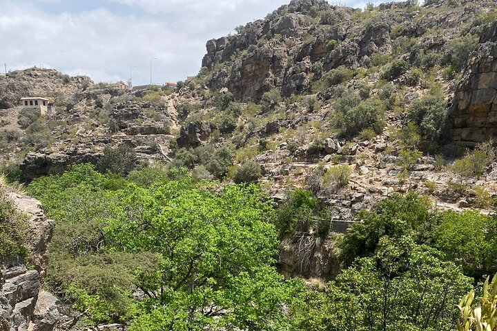 Old Nizwa authentic walks