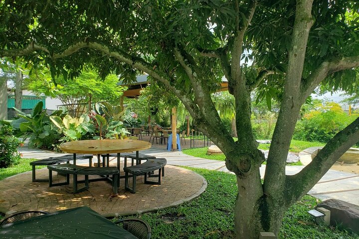 Gastronomic Tour, rice of Ibagué.