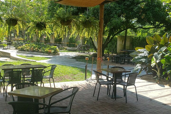 Gastronomic Tour, rice of Ibagué.