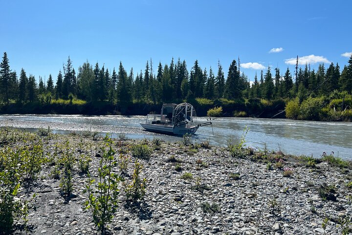 Guided Airboat Tour