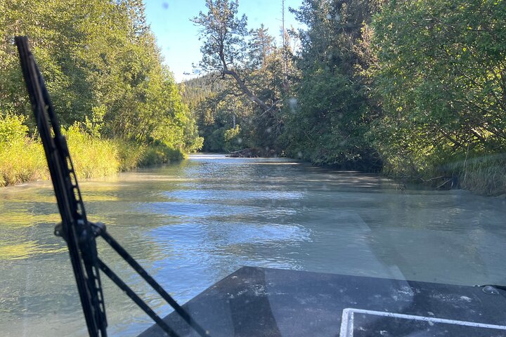 Guided Airboat Tour