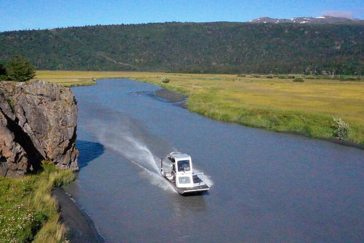 Guided Airboat Tour