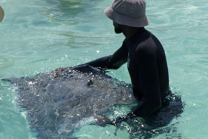 Starfish Point, Stingray City-Sandbar & Coral Gardens