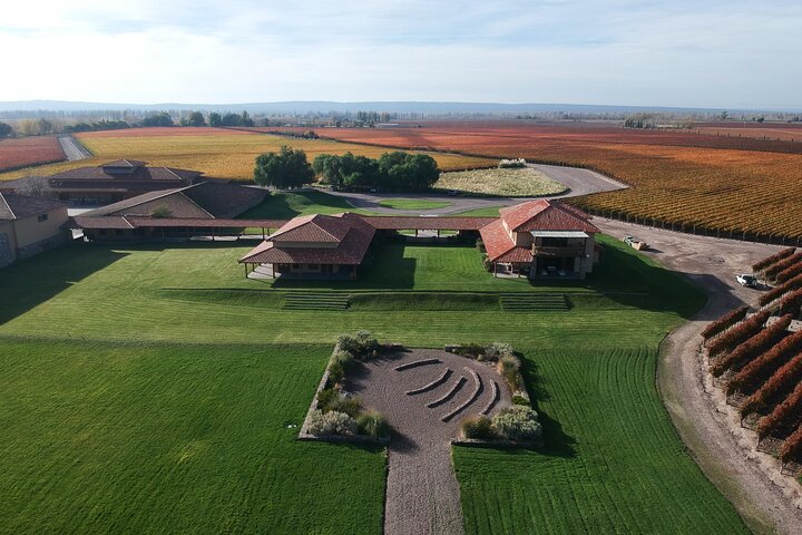 Bodegas & Olivares 1/2 day without lunch