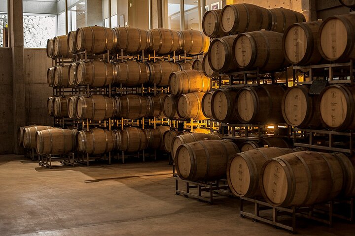 Bodegas & Olivares 1/2 day without lunch
