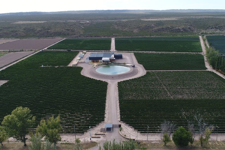 Bodegas & Olivares 1/2 day without lunch