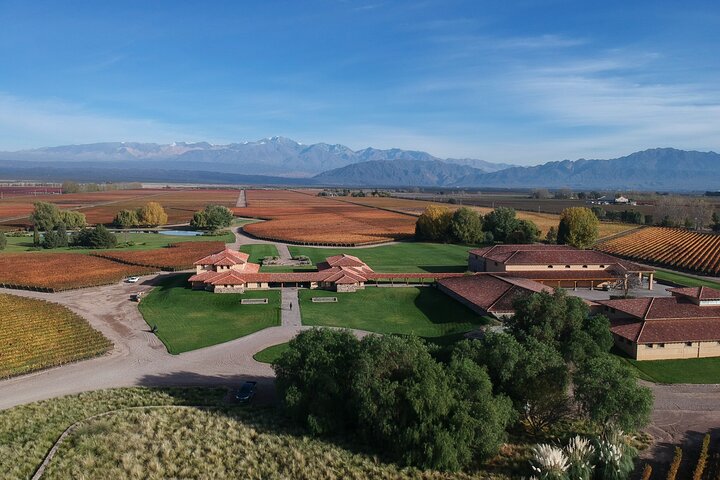 Bodegas & Olivares 1/2 day without lunch