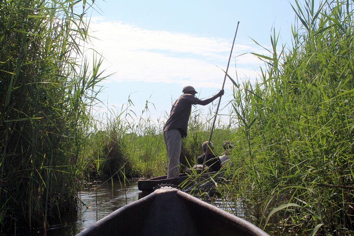 7-Day Okavango Delta & Moremi Safari from Maun – All-Inclusive