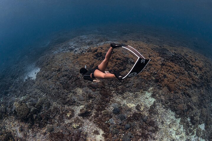 Try Freediving on Nusa Penida