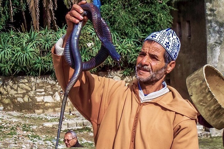 The Best of Tangier: Luxury 4-Hour Private Experience