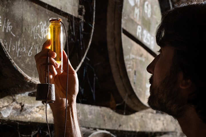 Tasting Bourgoin Cognac the real winegrower's cognac