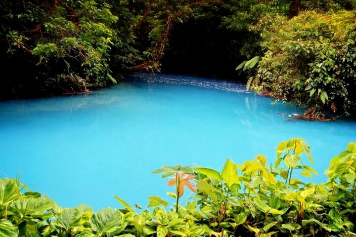 RIO CELESTE RIVER: Tubing+Rainforest+Wildlife+Waterfall+Active Volcano (PRIVATE)
