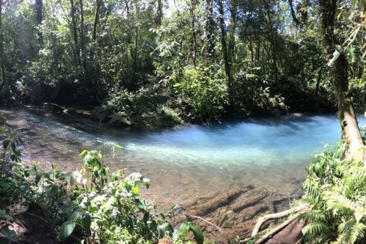 RIO CELESTE RIVER: Tubing+Rainforest+Wildlife+Waterfall+Active Volcano (PRIVATE)