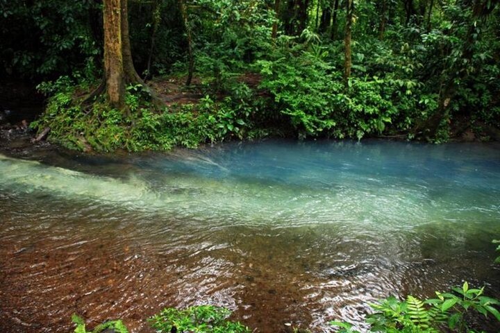 RIO CELESTE RIVER: Tubing+Rainforest+Wildlife+Waterfall+Active Volcano (PRIVATE)