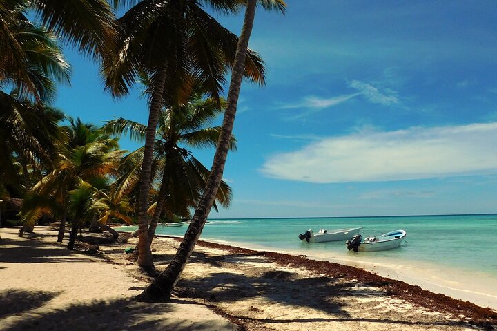 Saona Island Full-Day Tour from Las Terrenas with Lunch