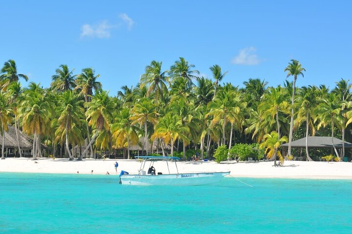 Saona Island Full-Day Tour from Las Terrenas with Lunch