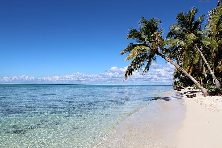 Saona Island Full-Day Tour from Las Terrenas with Lunch
