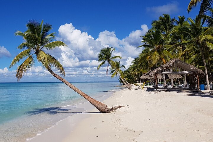 Saona Island Full-Day Tour from Las Terrenas with Lunch