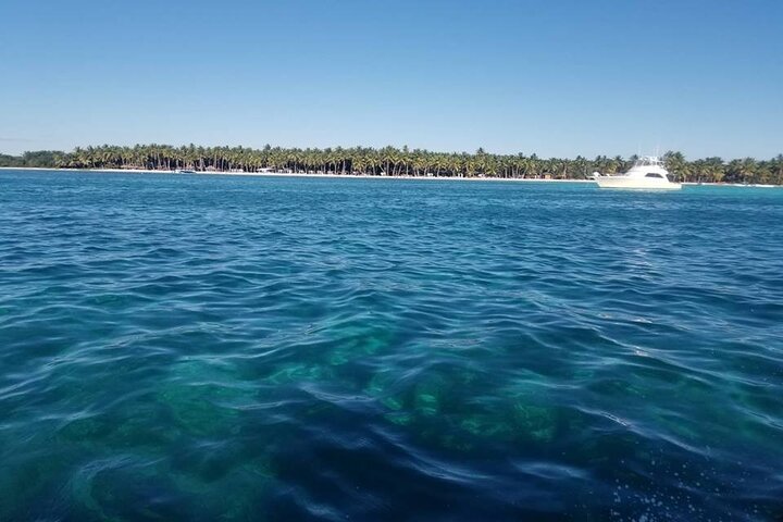 Saona Island Full-Day Tour from Las Terrenas with Lunch