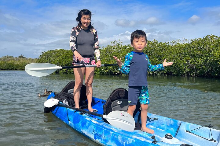 Noosa Everglade Kayak -South/Noosa End - Searching for Stingrays!