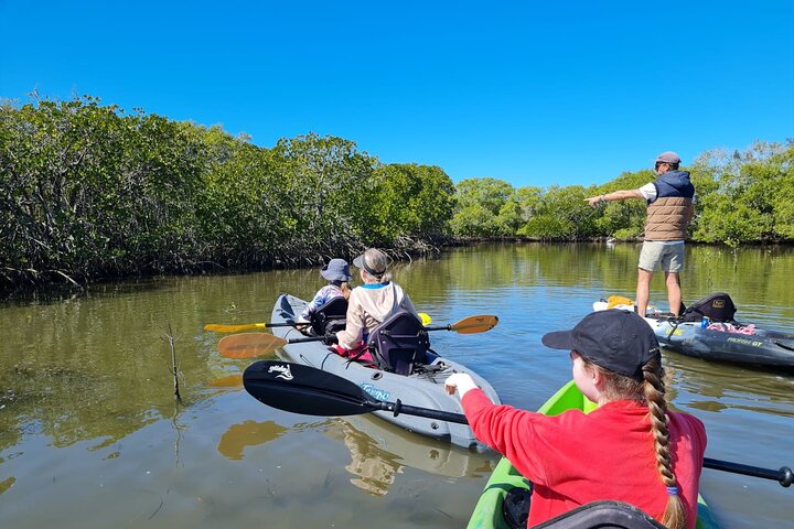 Noosa Everglade Kayak -South/Noosa End - Searching for Stingrays!