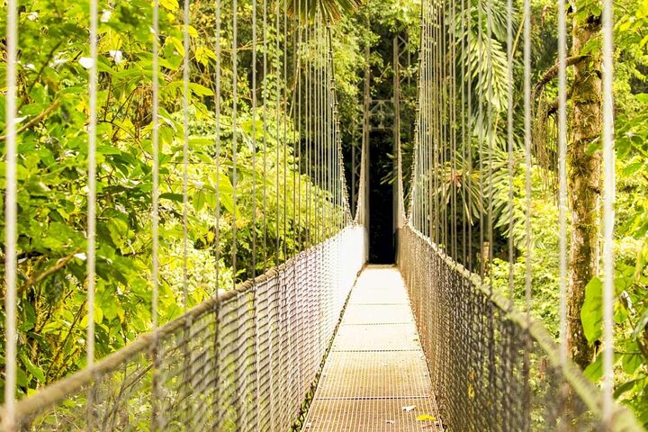 All Day Family Tour: Arenal Excursion with Hot Springs (PRIVATE)