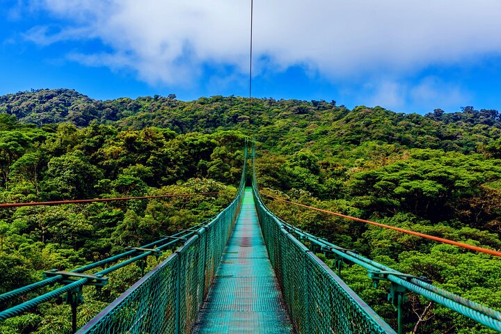 All Day Family Tour: Arenal Excursion with Hot Springs (PRIVATE)