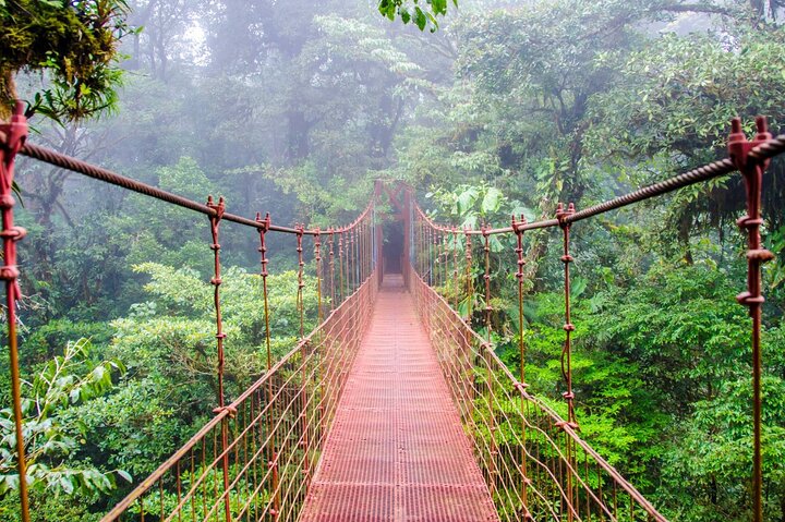 All Day Family Tour: Arenal Excursion with Hot Springs (PRIVATE)