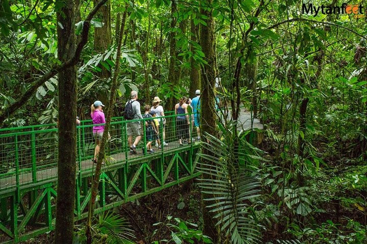 Birdwatching Tour at Mistico Arenal Hanging Bridges Park From Guanacaste