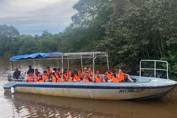 Borneo (Klias) River Cruise & Fireflies Tour