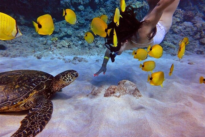 Maui Afternoon Snorkel Aboard Malolo to Molokini or Coral Gardens