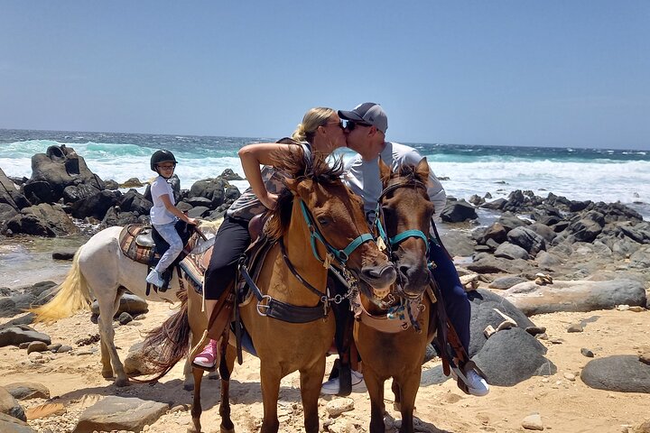 Aruba Ecological & Coastline Horseback Ride with Beach Photo Stop
