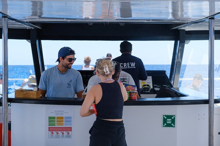 Madeira Dolphin and Whale Watching on a Ecological Catamaran