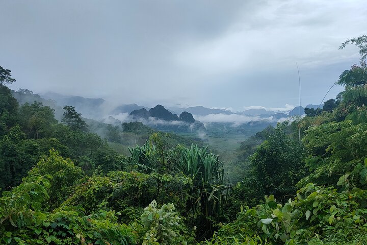 From Khao Lak : Cheow Lan Lake & Nam Rad Emerald Pool