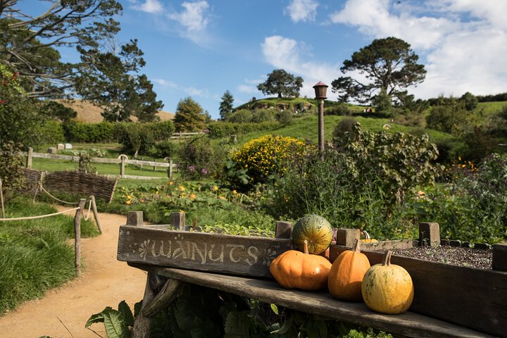 Hobbiton Day Tour from Rotorua with lunch at Hobbiton