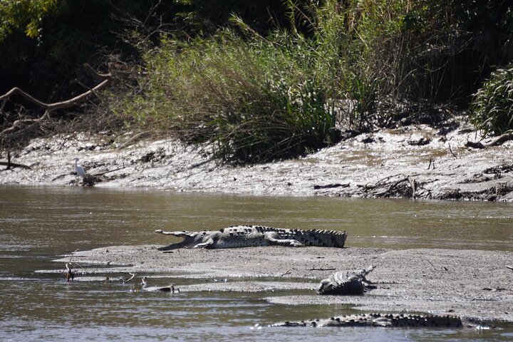 Safari Palo verde river cruise, sugarcane liquor & cultural tour