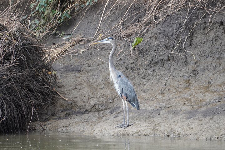 Safari Palo verde river cruise, sugarcane liquor & cultural tour