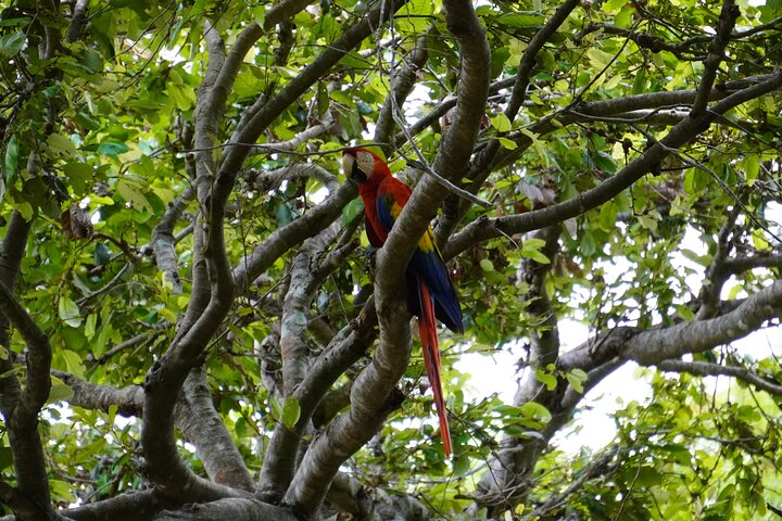 Safari Palo verde river cruise, sugarcane liquor & cultural tour