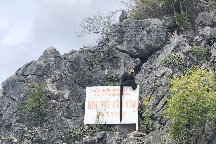 Full day trip to Lan Ha-Ha Long Bay from Cat Ba, avoid the crowds