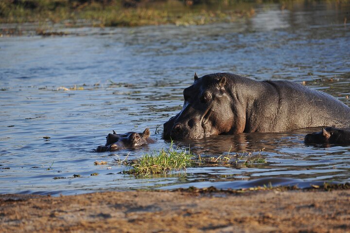 2 nights 3 days Overnight Mokoro Trail Okavango delta