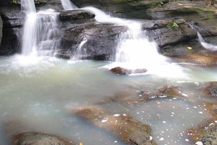 East Coast Horseback Riding & Waterfall Excursion