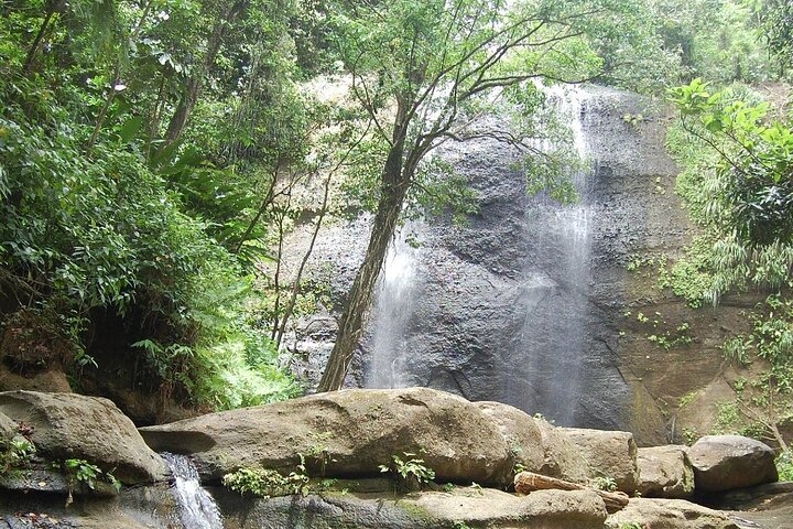 East Coast Horseback Riding & Waterfall Excursion